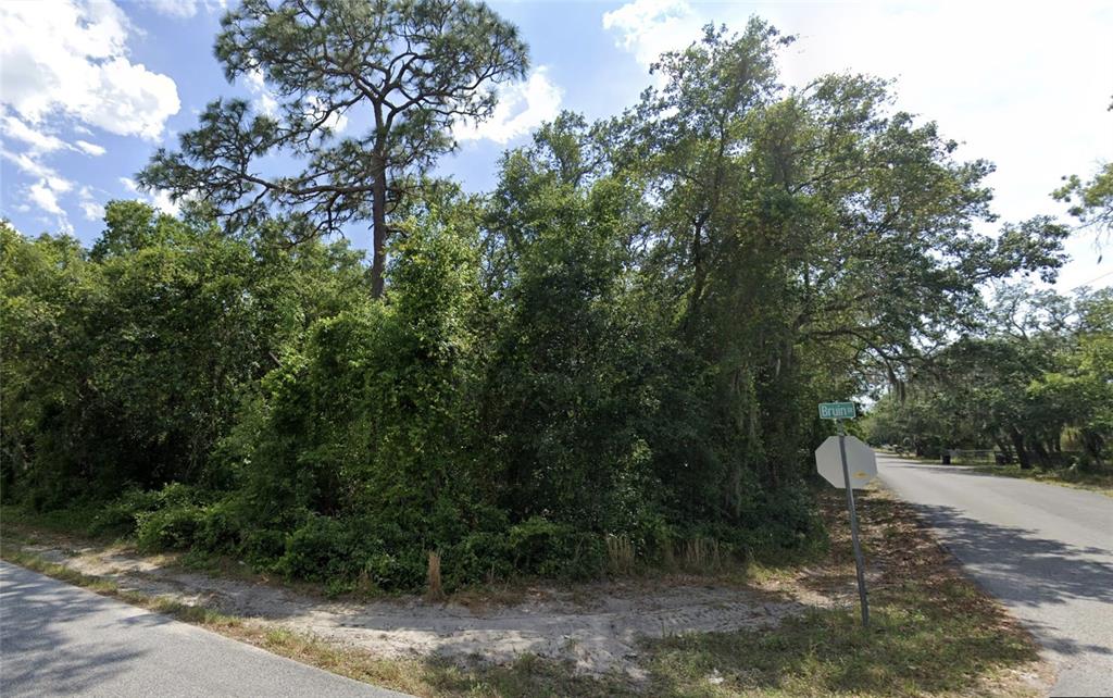 Bruin Drive New Port Richey, FL 34654 - Photo 1 of 1