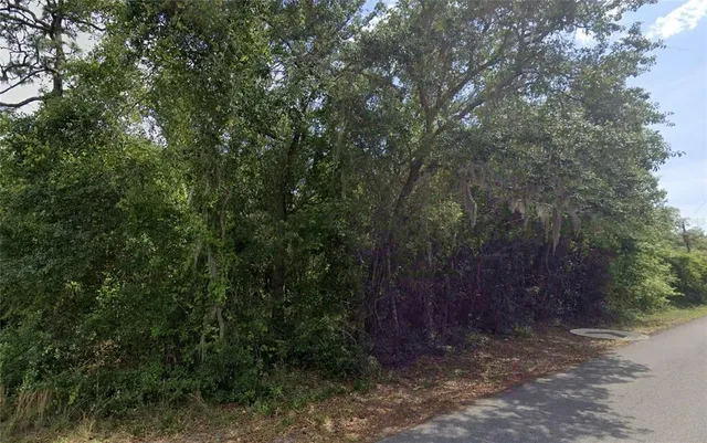 a sign that is sitting in the middle of a tree