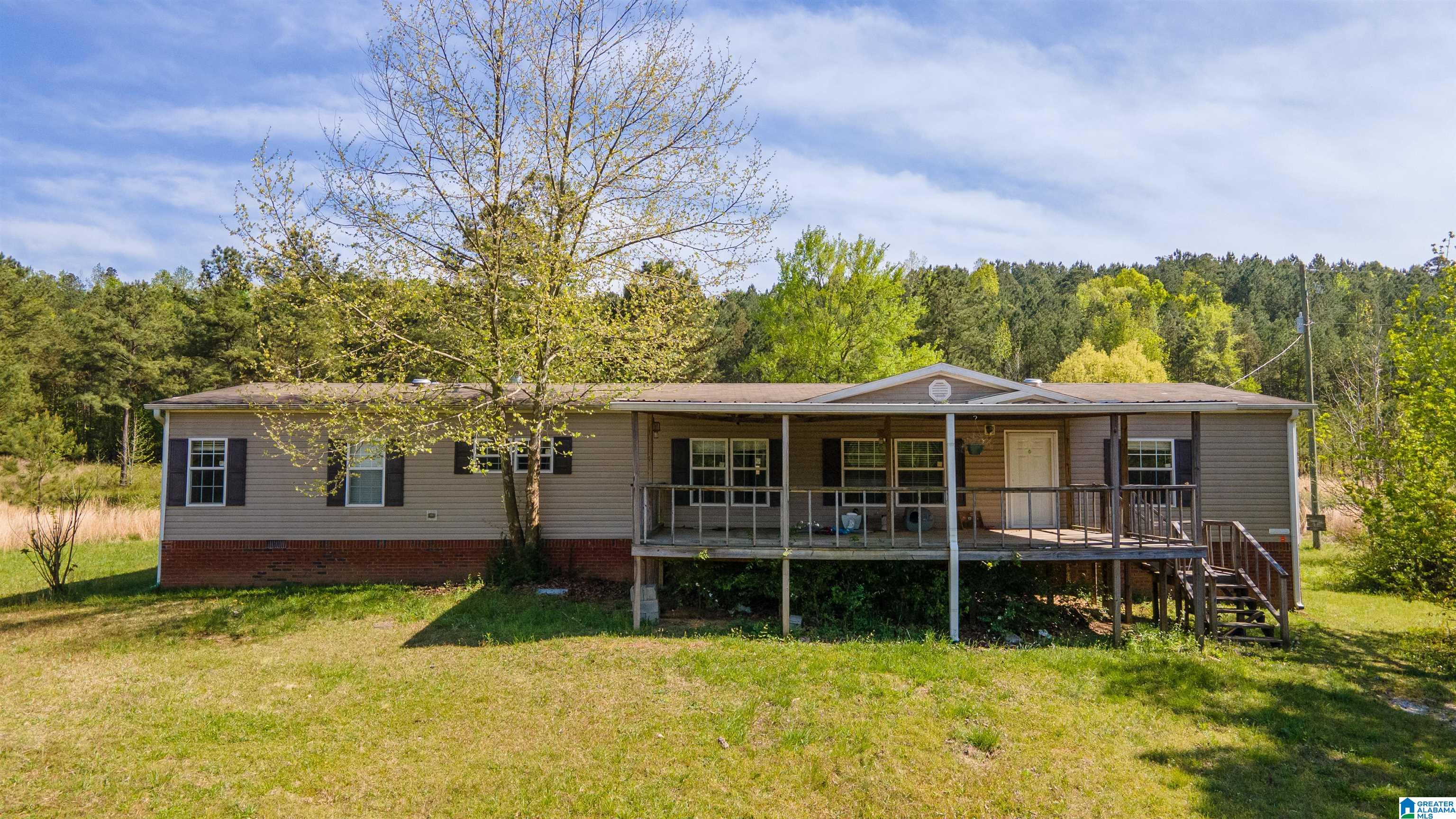 3554 Possum Trot Road Piedmont, AL 36272 - Photo 8 of 18