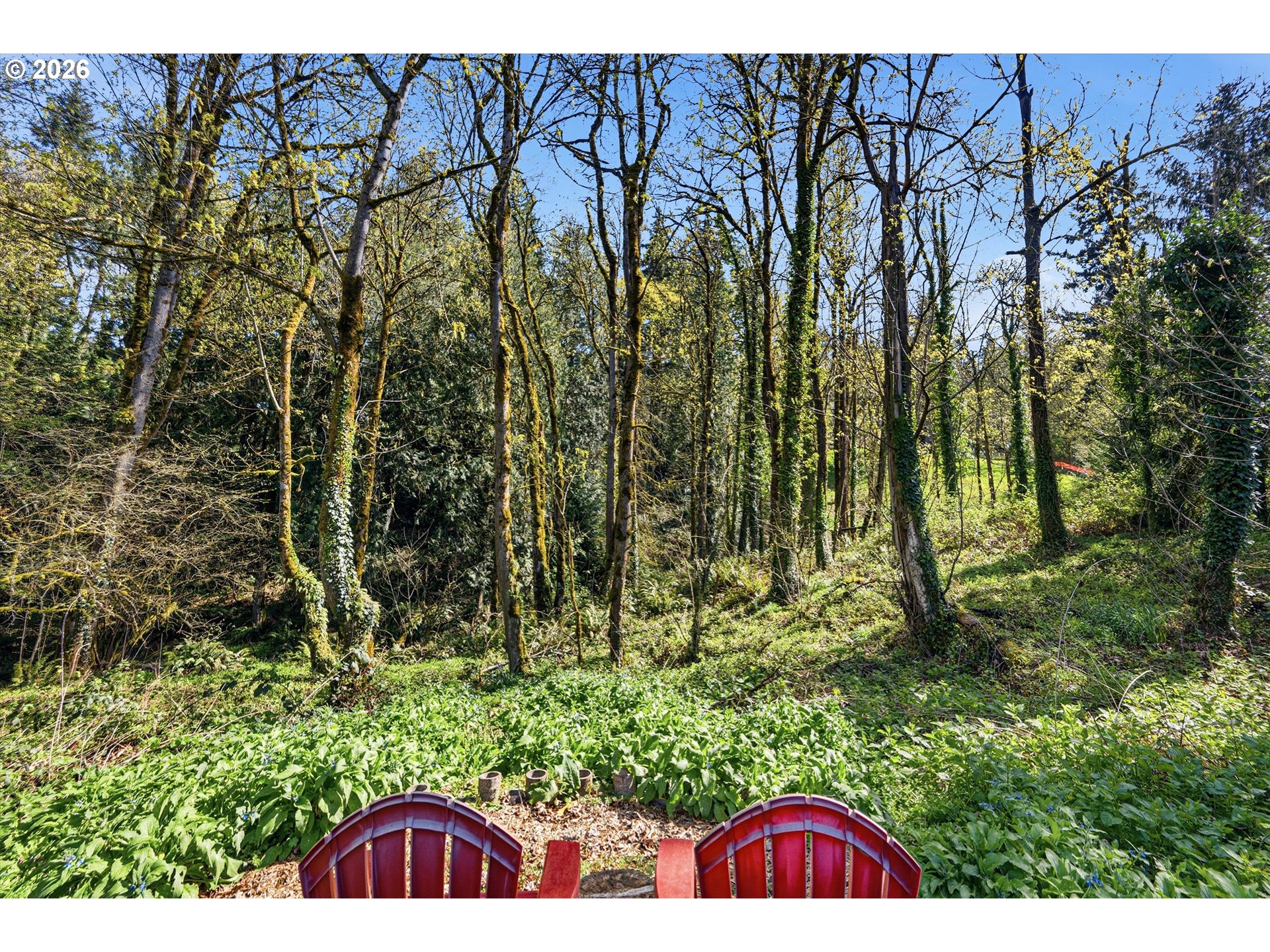 12802 Southeast Knapp Street Portland, OR 97236 - Photo 43 of 48 a view of a yard with plants and trees