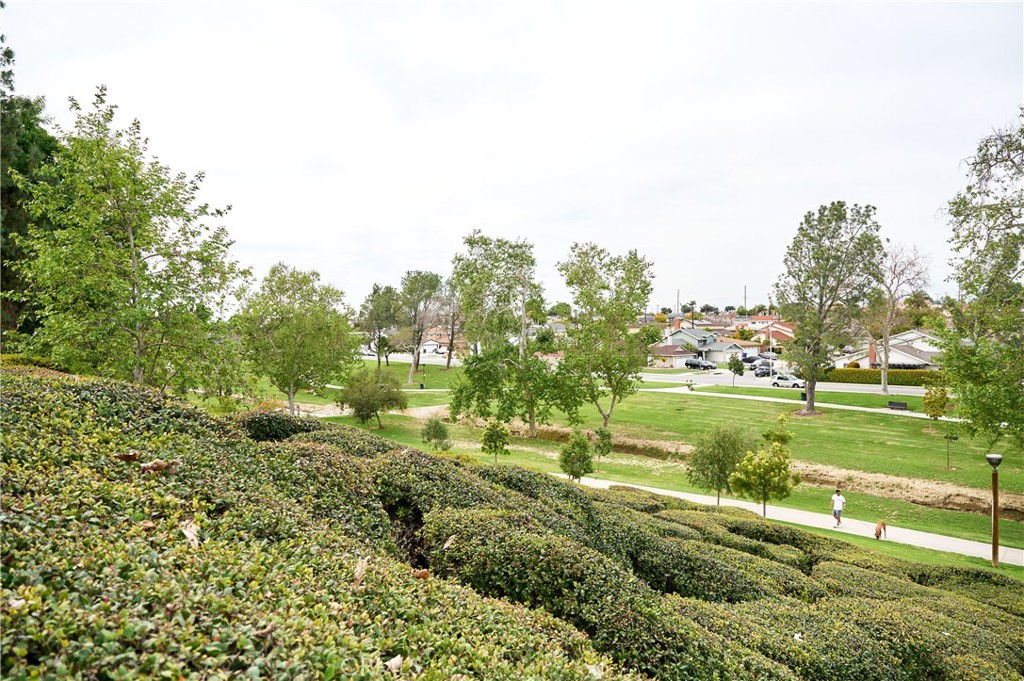 12310 La Pomelo Road La Mirada, CA 90638 - Photo 29 of 30 a view of a garden with an outdoor space