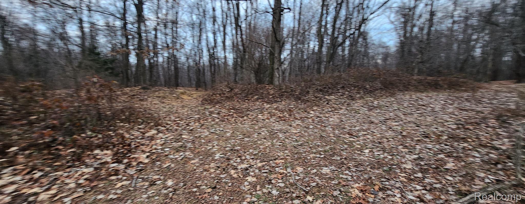 9194 Arbela Road Millington, MI 48746 - Photo 24 of 40 Gallery Image 24