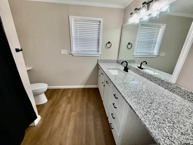 a bathroom with a granite countertop sink and a toilet