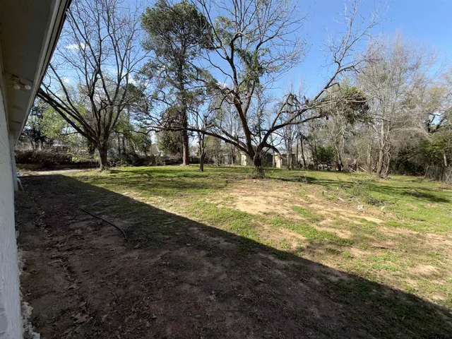 a view of a field with trees