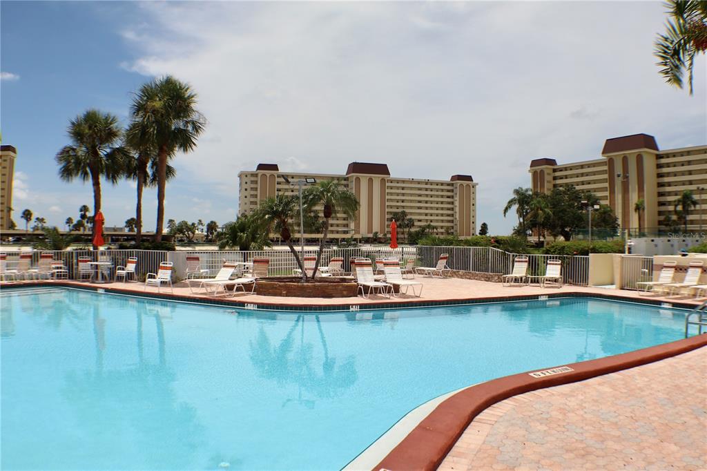 4775 Cove Circle, Unit 403 St. Petersburg, FL 33708 - Photo 30 of 42 a view of a swimming pool with a lawn chairs and palm tree