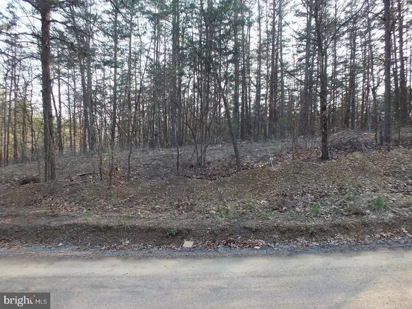 a view of a yard with trees in the background