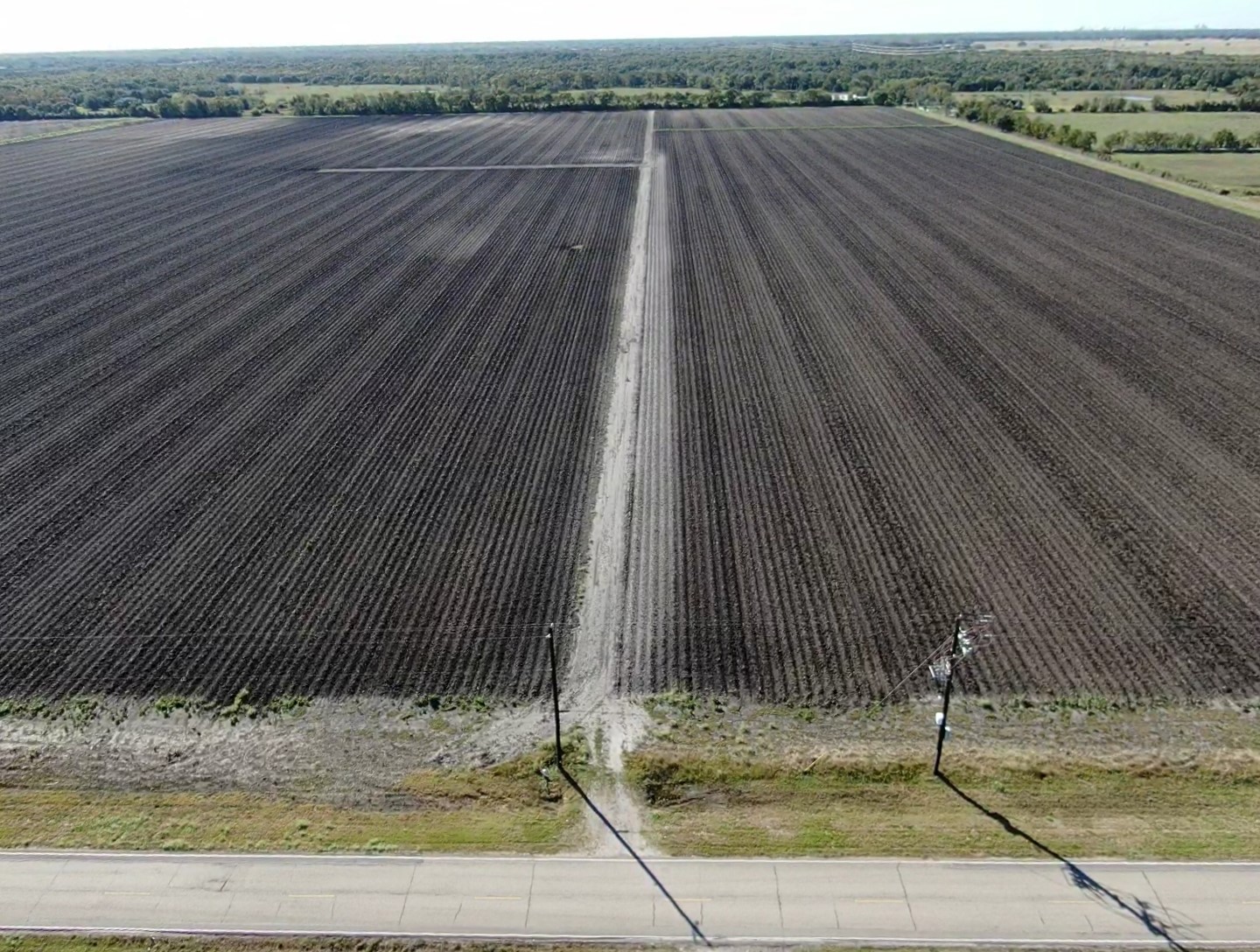 1010 County Road 23 Damon, TX 77430 - Photo 5 of 11
