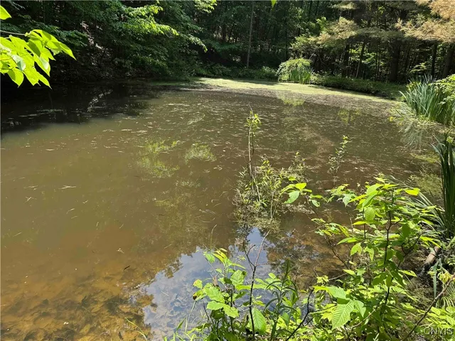 $20,000 | Regan Road, Cuba, NY 14727