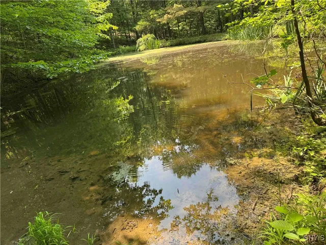 $20,000 | Regan Road, Cuba, NY 14727