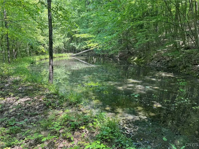 $20,000 | Regan Road, Cuba, NY 14727