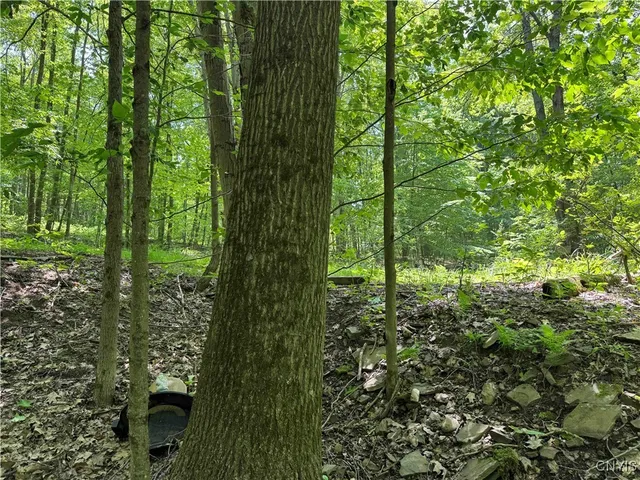 $20,000 | Regan Road, Cuba, NY 14727