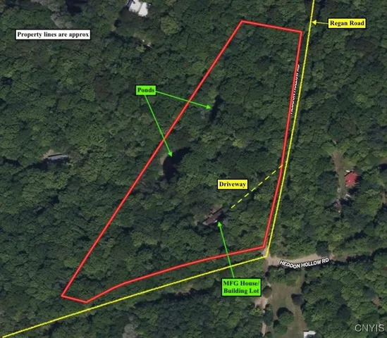 $20,000 | Regan Road, Cuba, NY 14727