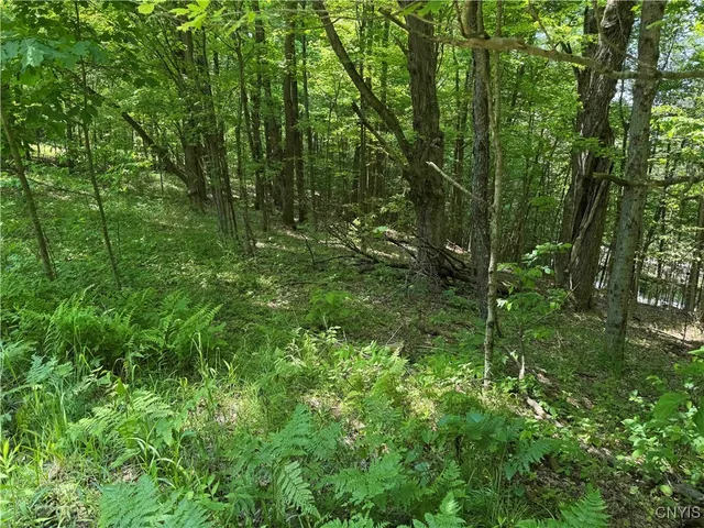 $20,000 | Regan Road, Cuba, NY 14727