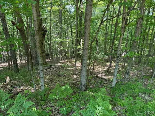 $20,000 | Regan Road, Cuba, NY 14727