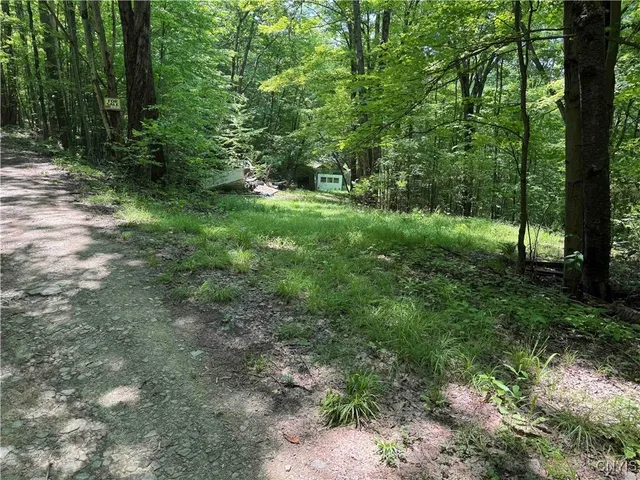 $20,000 | Regan Road, Cuba, NY 14727