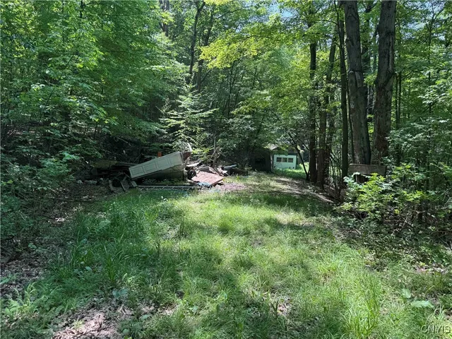 $20,000 | Regan Road, Cuba, NY 14727