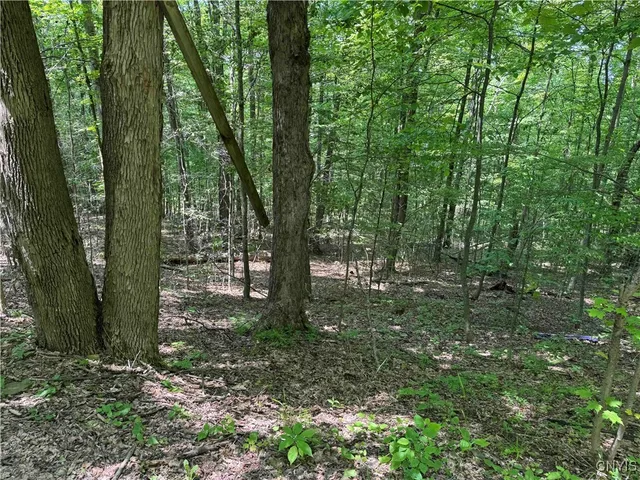 $20,000 | Regan Road, Cuba, NY 14727