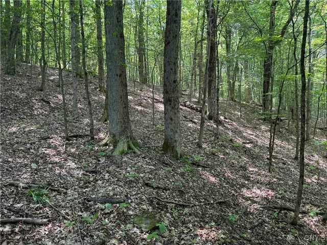 $20,000 | Regan Road, Cuba, NY 14727