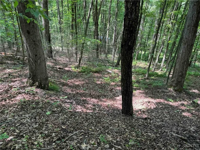 $20,000 | Regan Road, Cuba, NY 14727