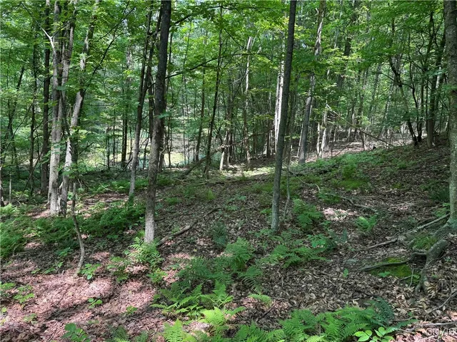 $20,000 | Regan Road, Cuba, NY 14727