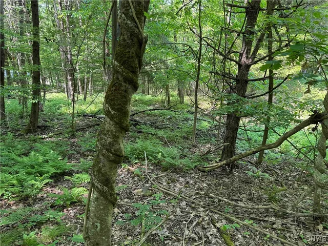 $20,000 | Regan Road, Cuba, NY 14727