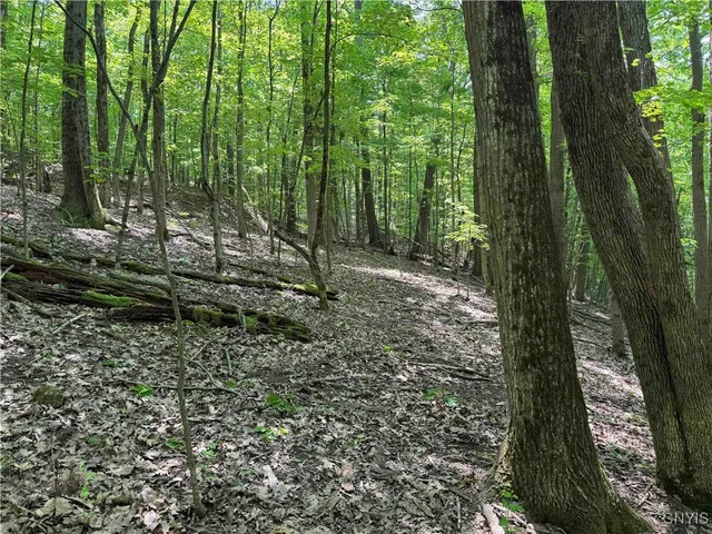 $20,000 | Regan Road, Cuba, NY 14727