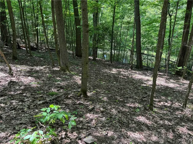 $20,000 | Regan Road, Cuba, NY 14727