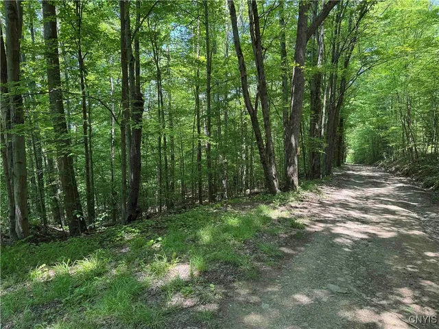 $20,000 | Regan Road, Cuba, NY 14727