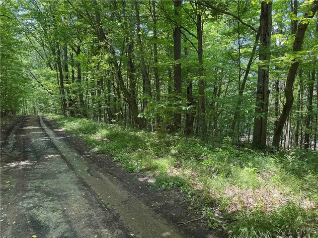 $20,000 | Regan Road, Cuba, NY 14727
