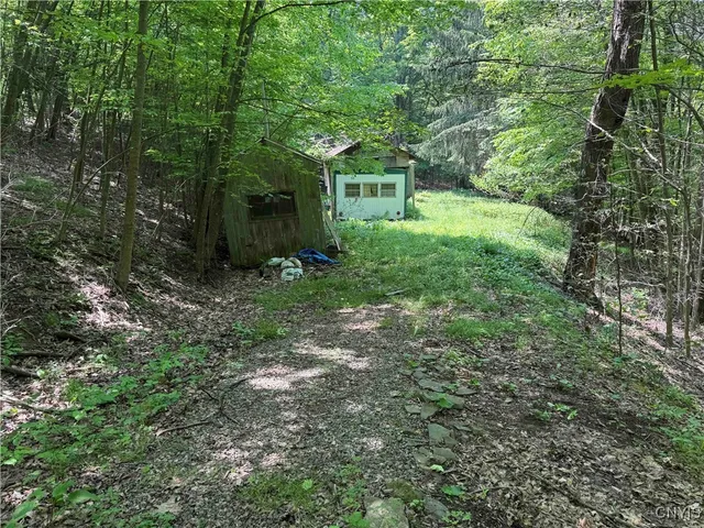$20,000 | Regan Road, Cuba, NY 14727