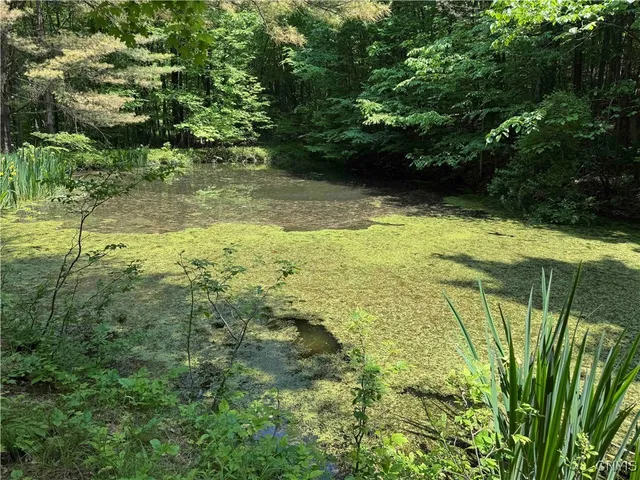 $20,000 | Regan Road, Cuba, NY 14727