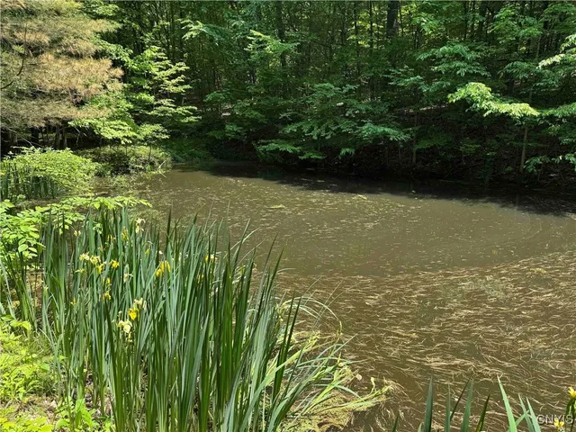 $20,000 | Regan Road, Cuba, NY 14727