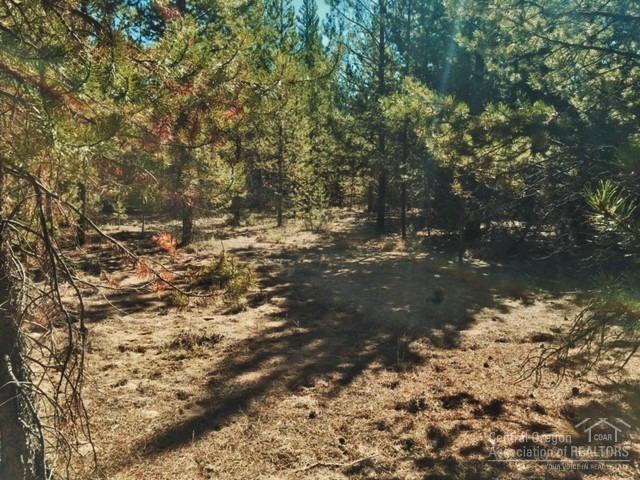 52660 Day Road La Pine, OR 97739 - Photo 7 of 14 Additional Photo