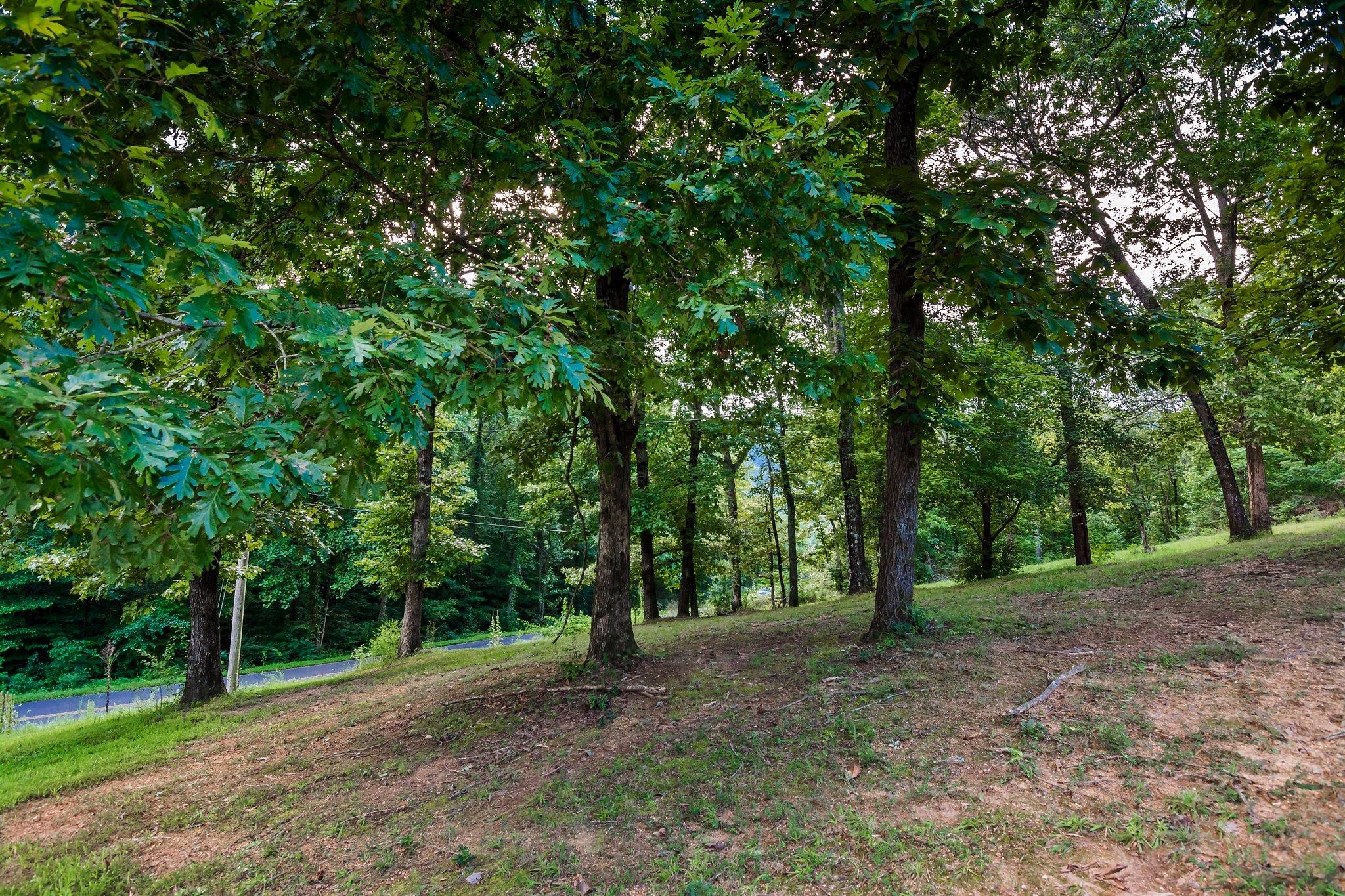 1714 Press Pickett Road Whitwell, TN 37397 - Photo 45 of 68 pp4