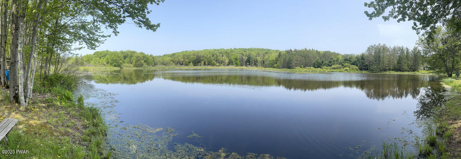 366 Canfield Road Damascus, PA 18415 - Photo 30 of 33 Pond view