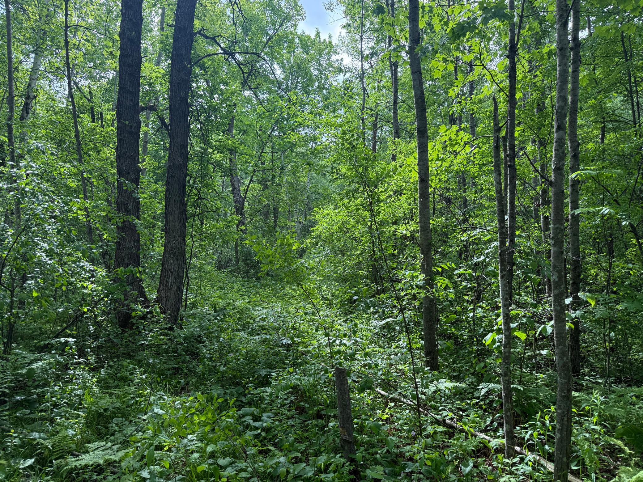 10551 Mallard Road Brook Park, MN 55007 - Photo 22 of 44