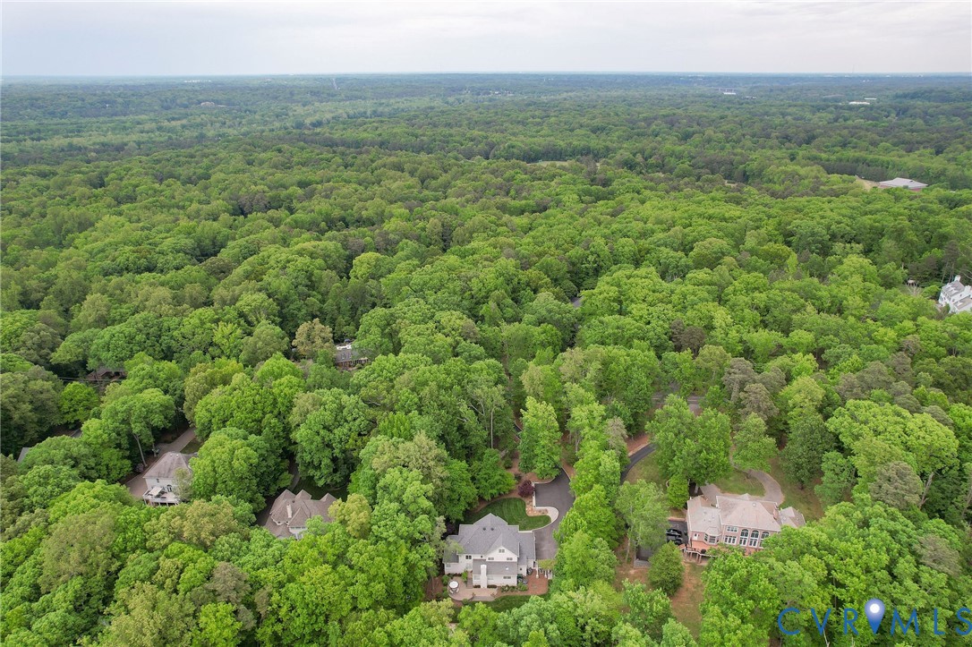 3620 Old Gun Road East Midlothian, VA 23113 - Photo 54 of 56 a view of a lush green forest with trees and some houses