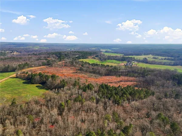 a view of a big yard