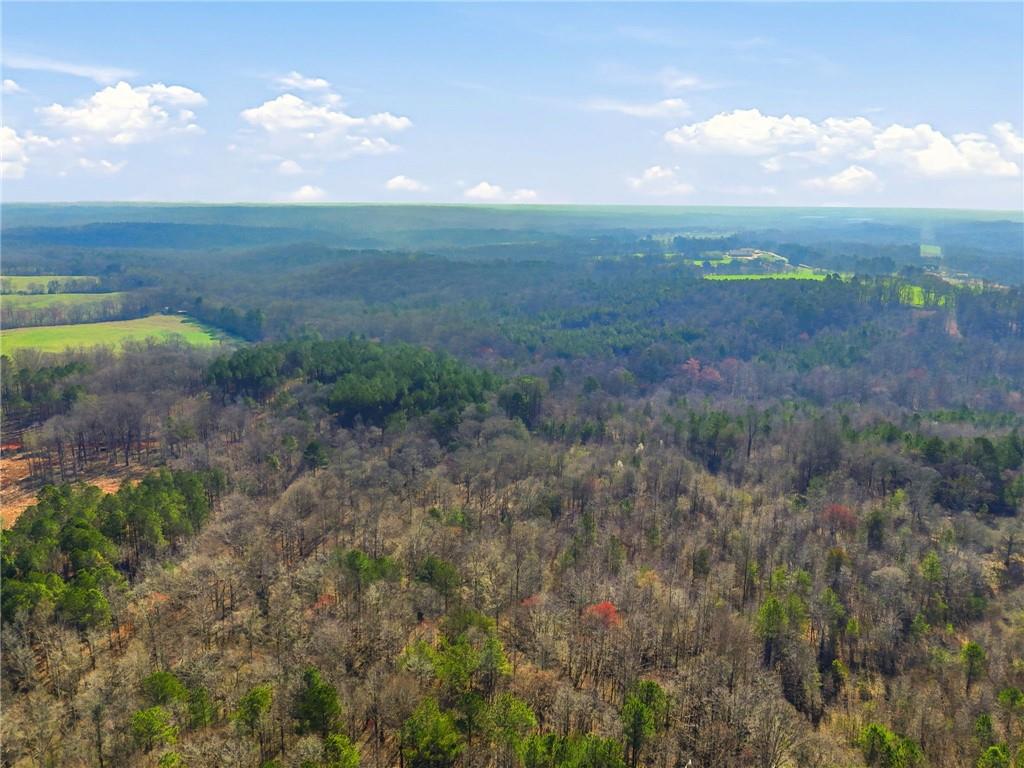 99012 Martin Road Talmo, GA 30575 - Photo 12 of 40 a view of a big yard