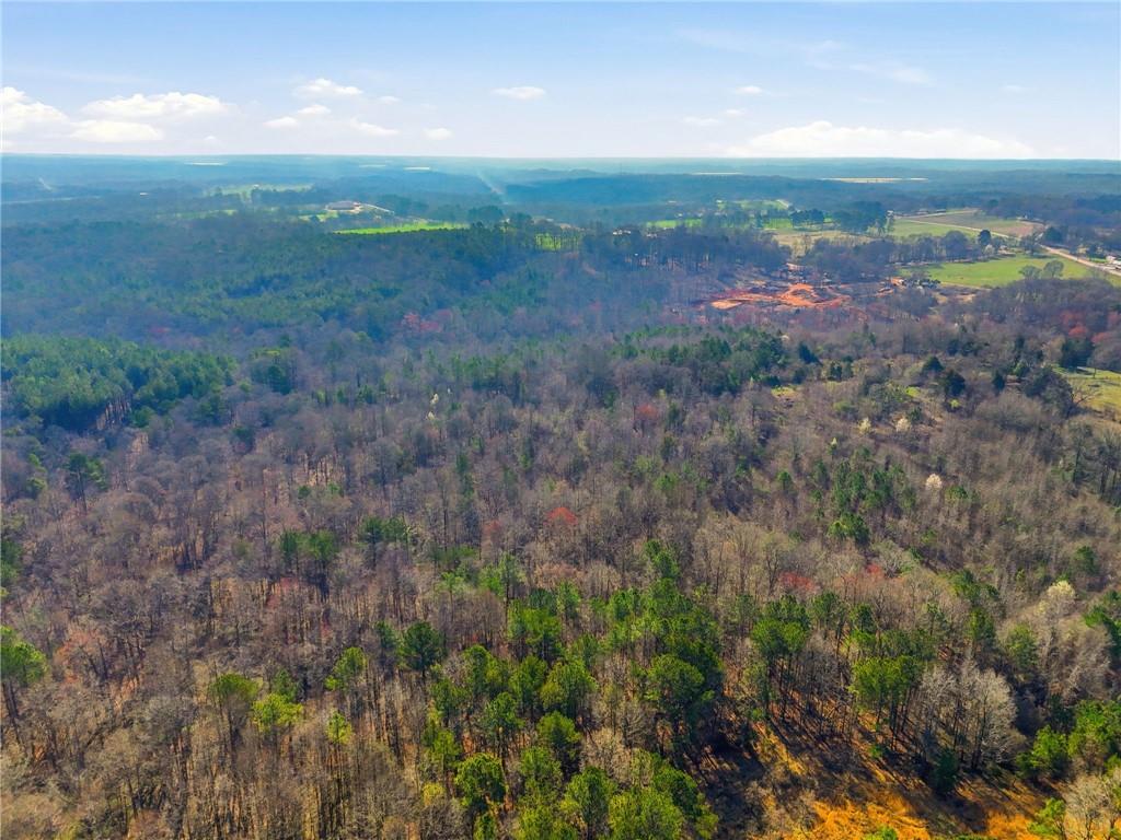99012 Martin Road Talmo, GA 30575 - Photo 13 of 40 a view of a city