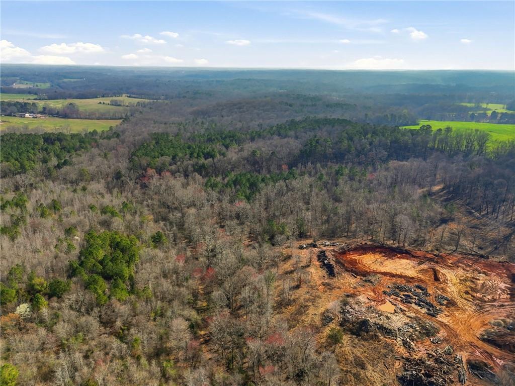 99012 Martin Road Talmo, GA 30575 - Photo 14 of 40 a view of a field with an ocean and trees in the background