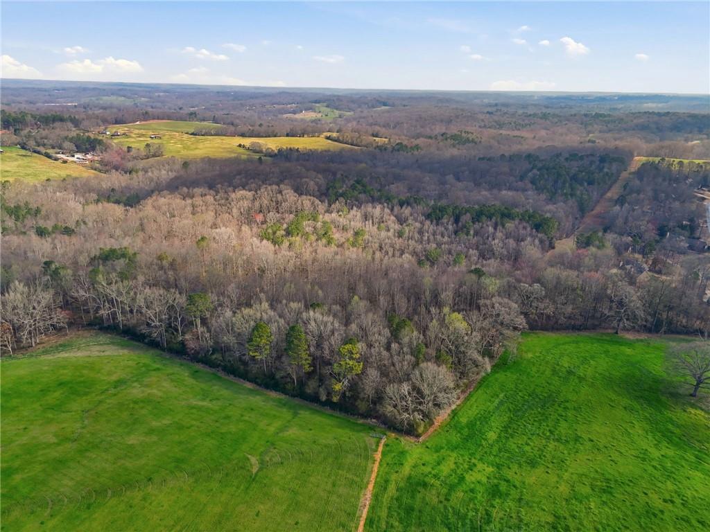 99012 Martin Road Talmo, GA 30575 - Photo 16 of 40 a view of a lake with a yard