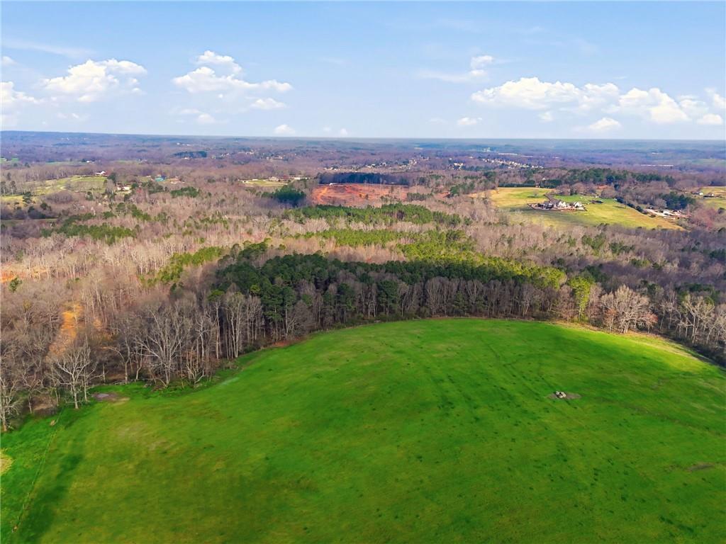 99012 Martin Road Talmo, GA 30575 - Photo 17 of 40