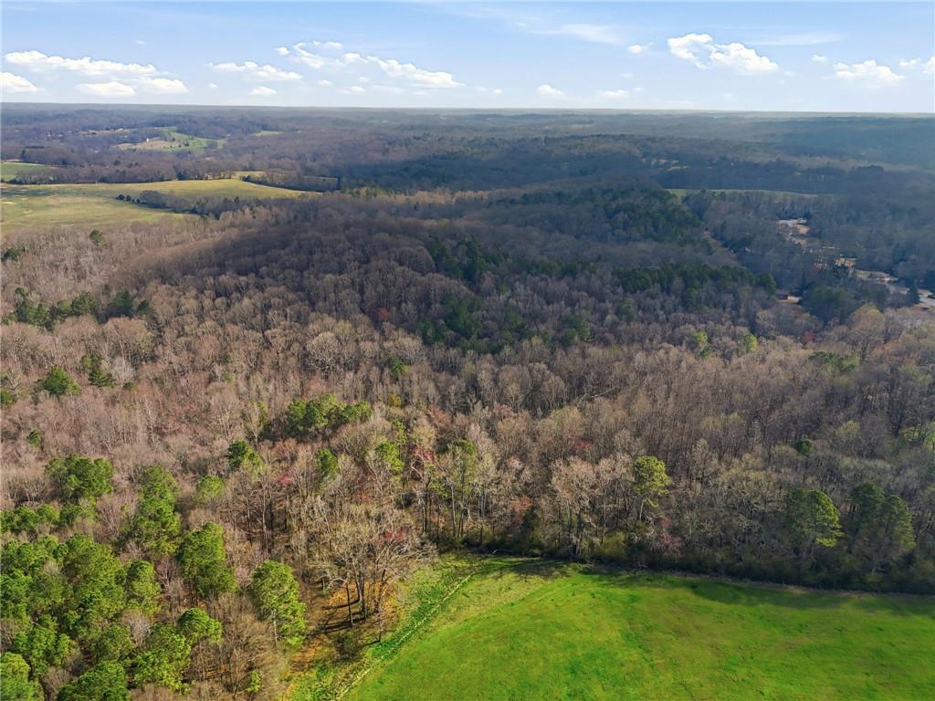 99012 Martin Road Talmo, GA 30575 - Photo 18 of 40 a view of outdoor space and yard