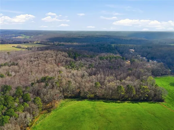a view of a lake with lots of trees