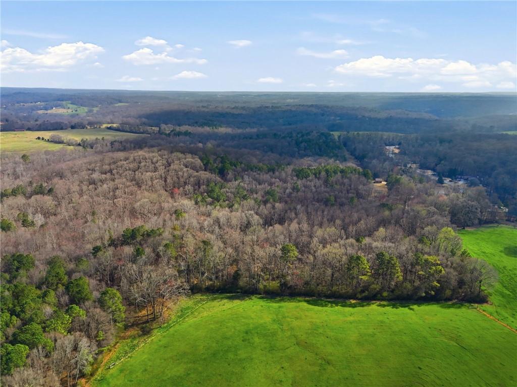 99012 Martin Road Talmo, GA 30575 - Photo 19 of 40