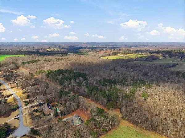a view of a golf course with a tree