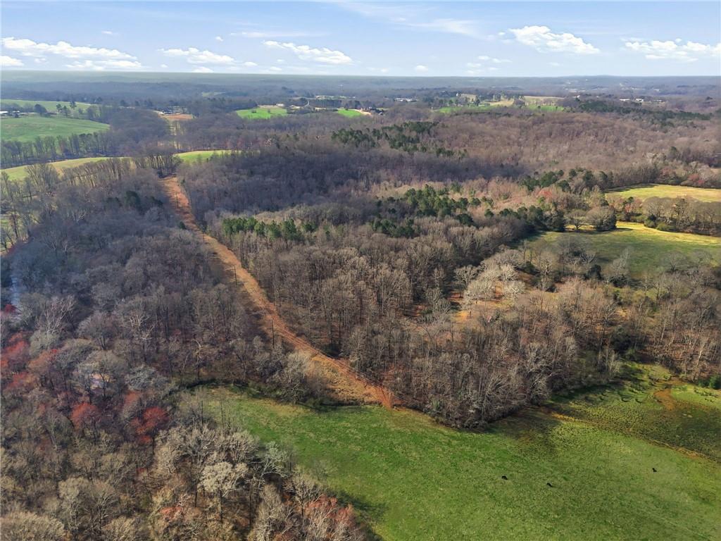 99012 Martin Road Talmo, GA 30575 - Photo 26 of 40 a view of a city