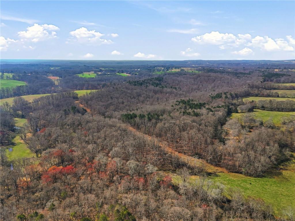 99012 Martin Road Talmo, GA 30575 - Photo 30 of 40 a view of a bunch of trees and bushes