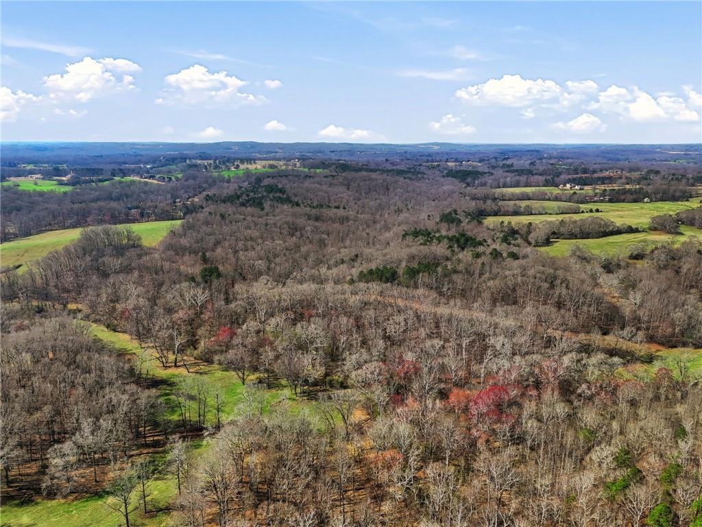99012 Martin Road Talmo, GA 30575 - Photo 31 of 40 a view of a city with lots of trees